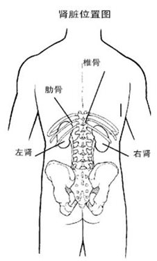 &#107;&#97;&#105;&#121;&#117;&#110;&#24320;&#20113;&#23448;&#26041;&#22312;&#32447;&#20837;&#21475;&#45;&#107;&#97;&#105;&#121;&#117;&#110;&#24320;&#20113;&#40;&#20013;&#22269;&#41;